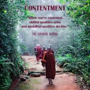 buddhist-quotes-contentment